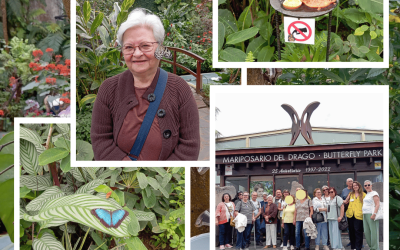 Visita al mariposario de Icod de los Vinos
